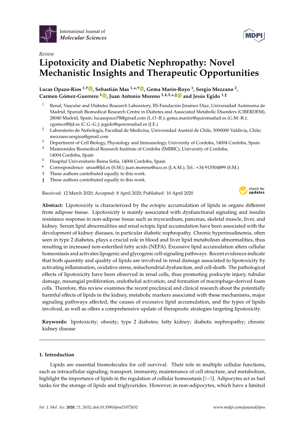 Lipotoxicity and Diabetic Nephropathy: Novel Mechanistic Insights and Therapeutic Opportunities