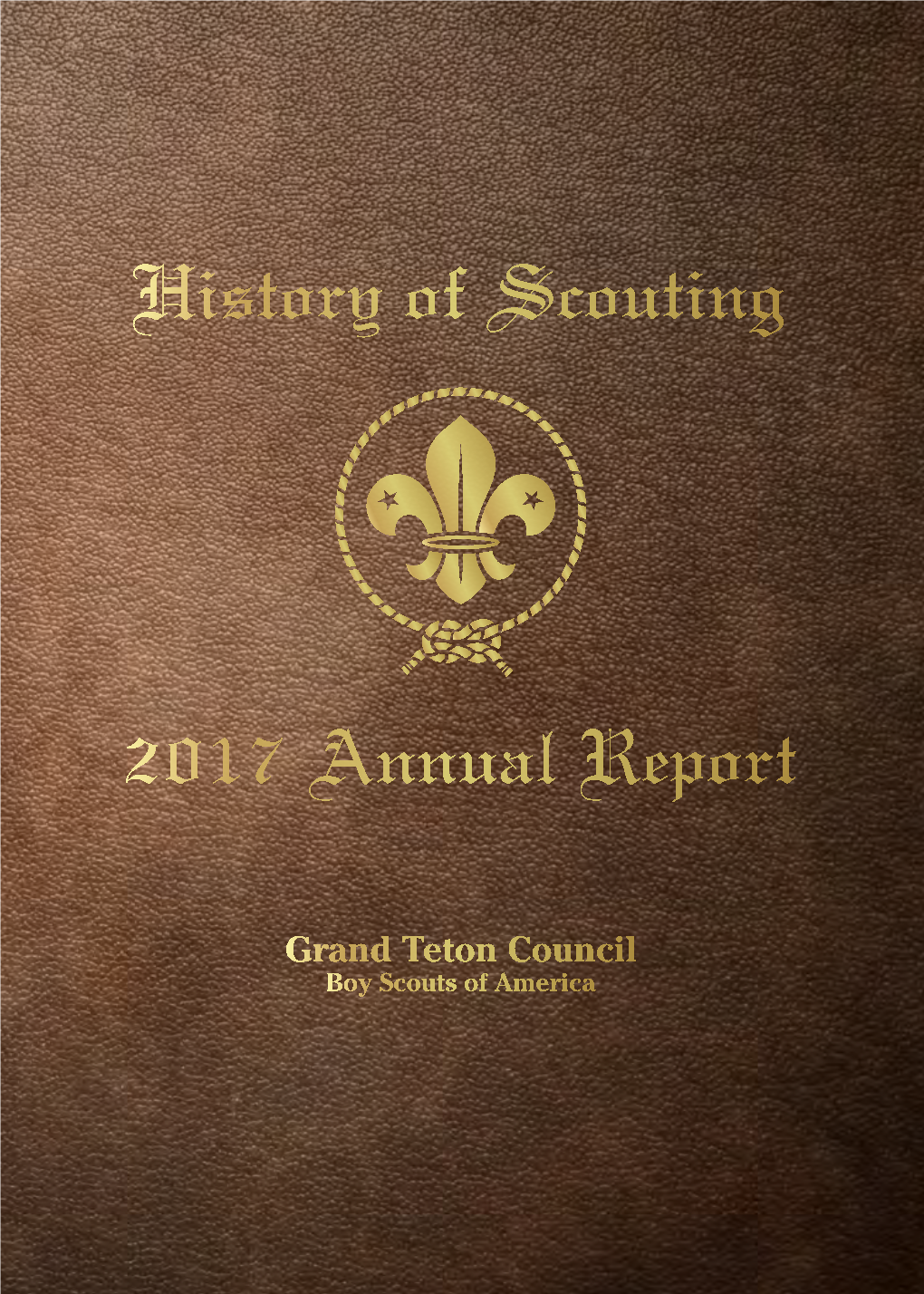 2017 Annual Report