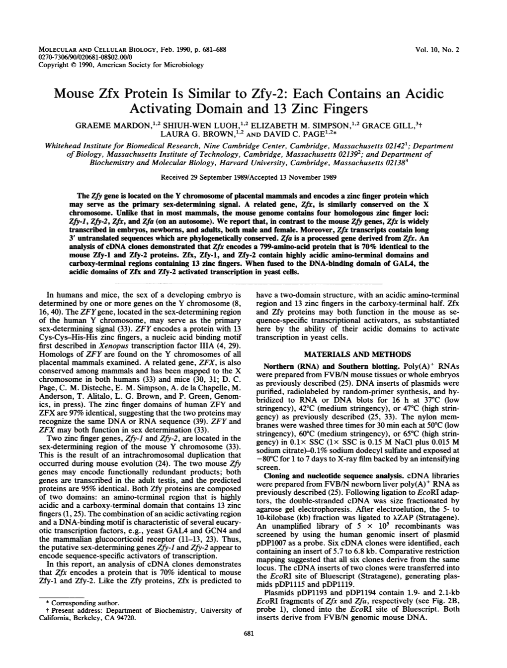 Mouse Zfx Protein Is Similar to Zfy-2: Each Contains an Acidic Activating Domain and 13 Zinc Fingers GRAEME MARDON,"2 SHIUH-WEN LUOH,"2 ELIZABETH M