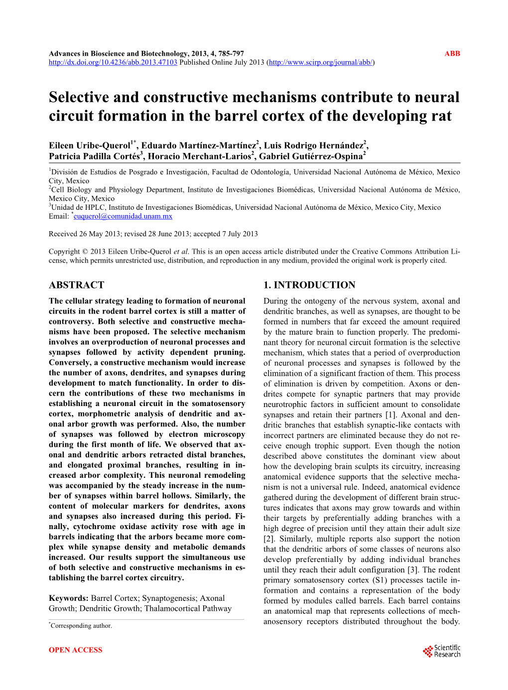 Selective and Constructive Mechanisms Contribute to Neural Circuit Formation in the Barrel Cortex of the Developing Rat