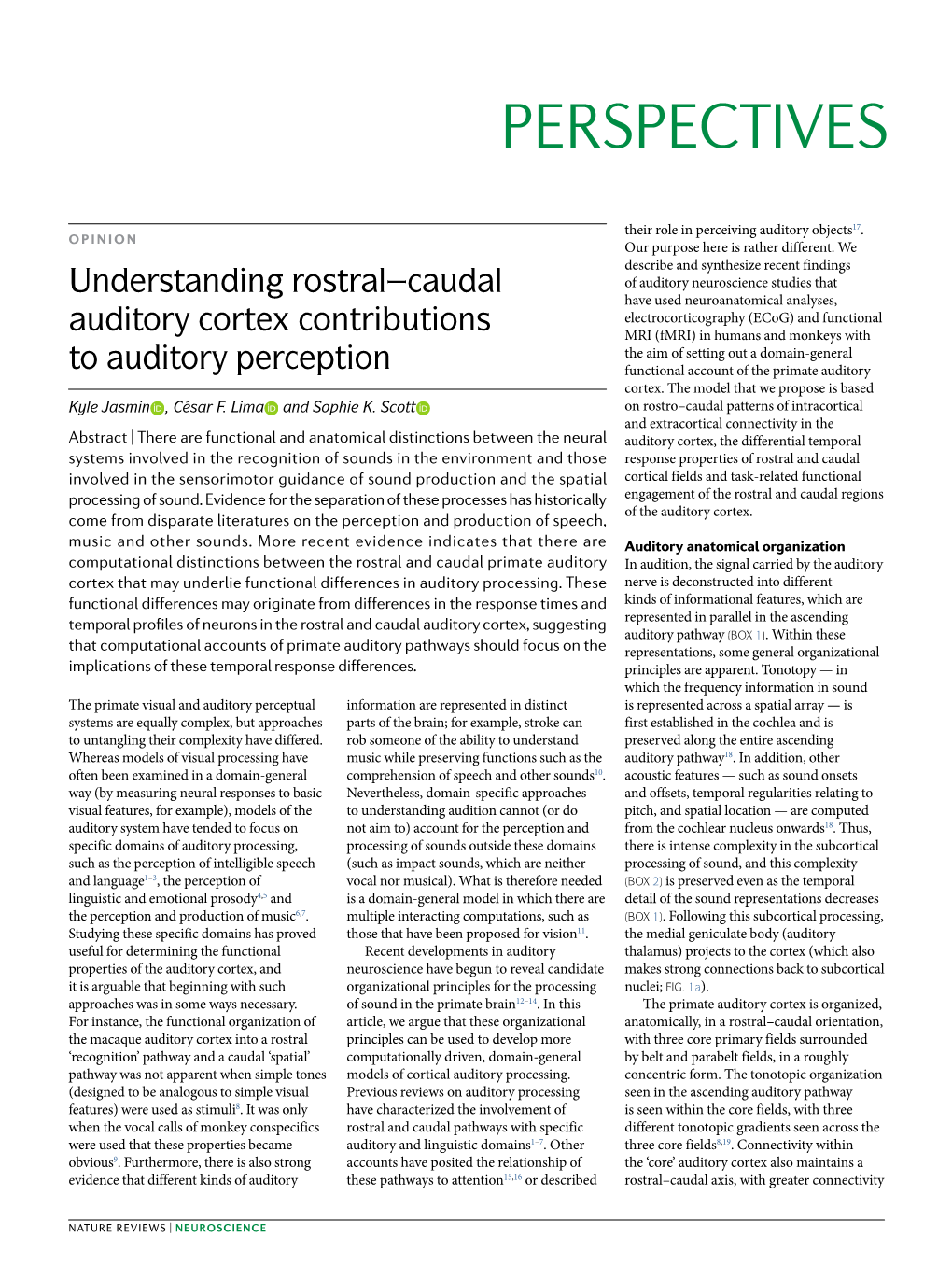 Understanding Rostral–Caudal Auditory Cortex