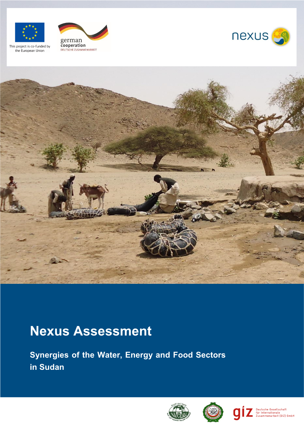 WEF-Nexus-Assessment