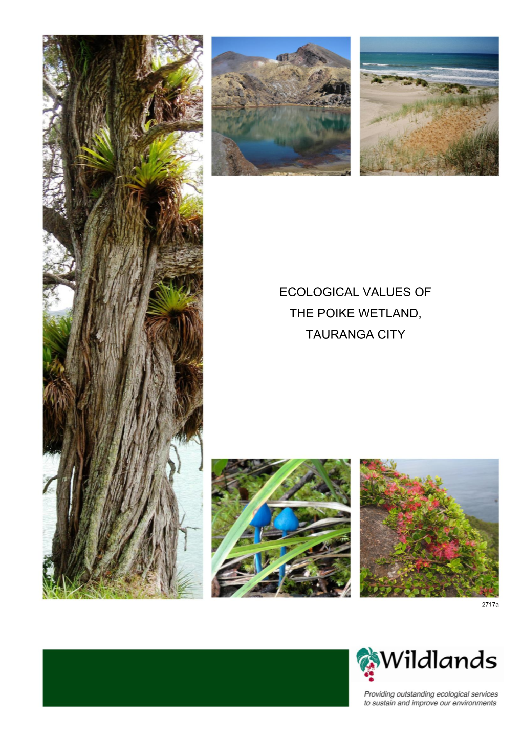 Ecological Values of the Poike Wetland, Tauranga City