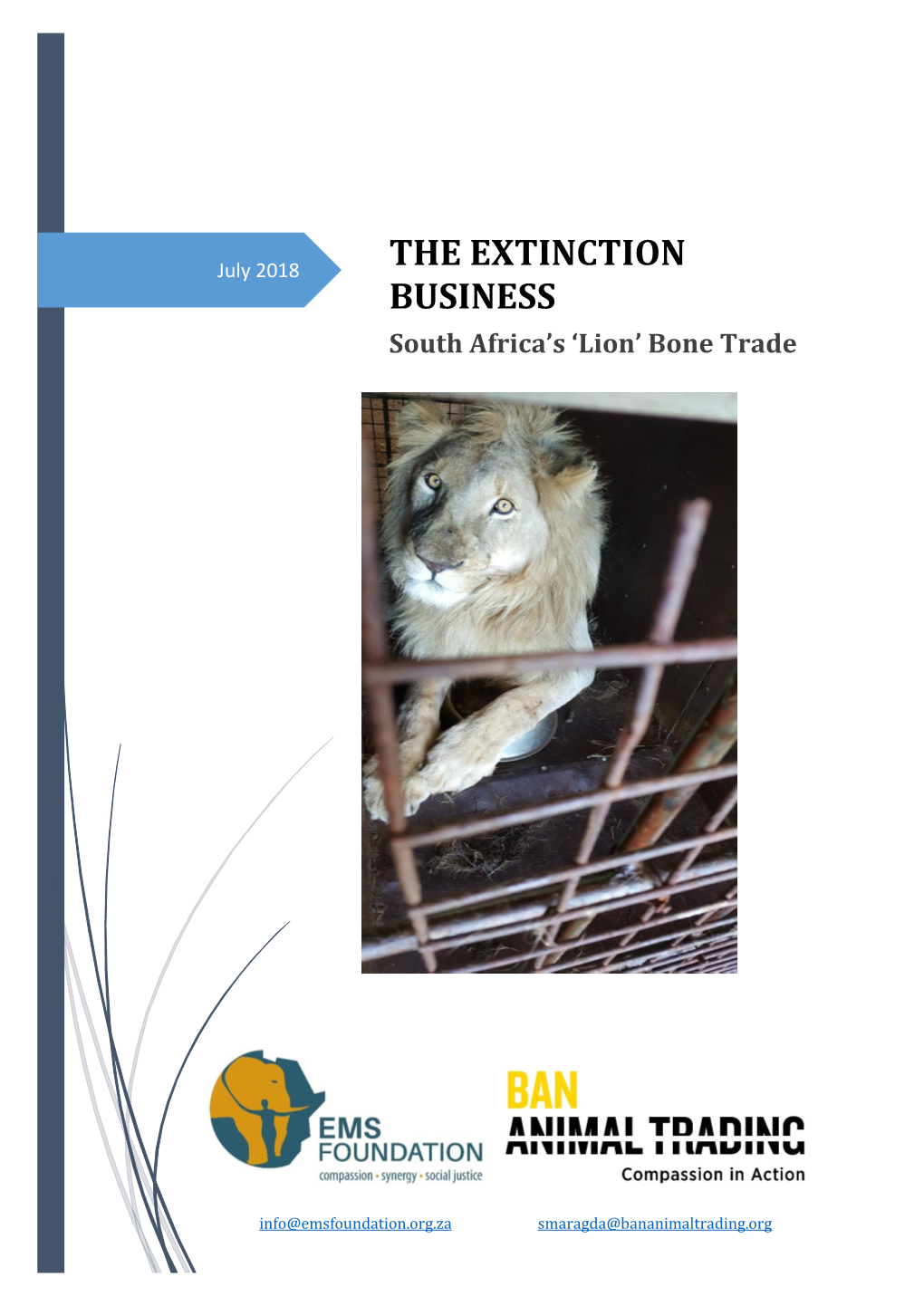 The Extinction Business: South Africa's 'Lion'