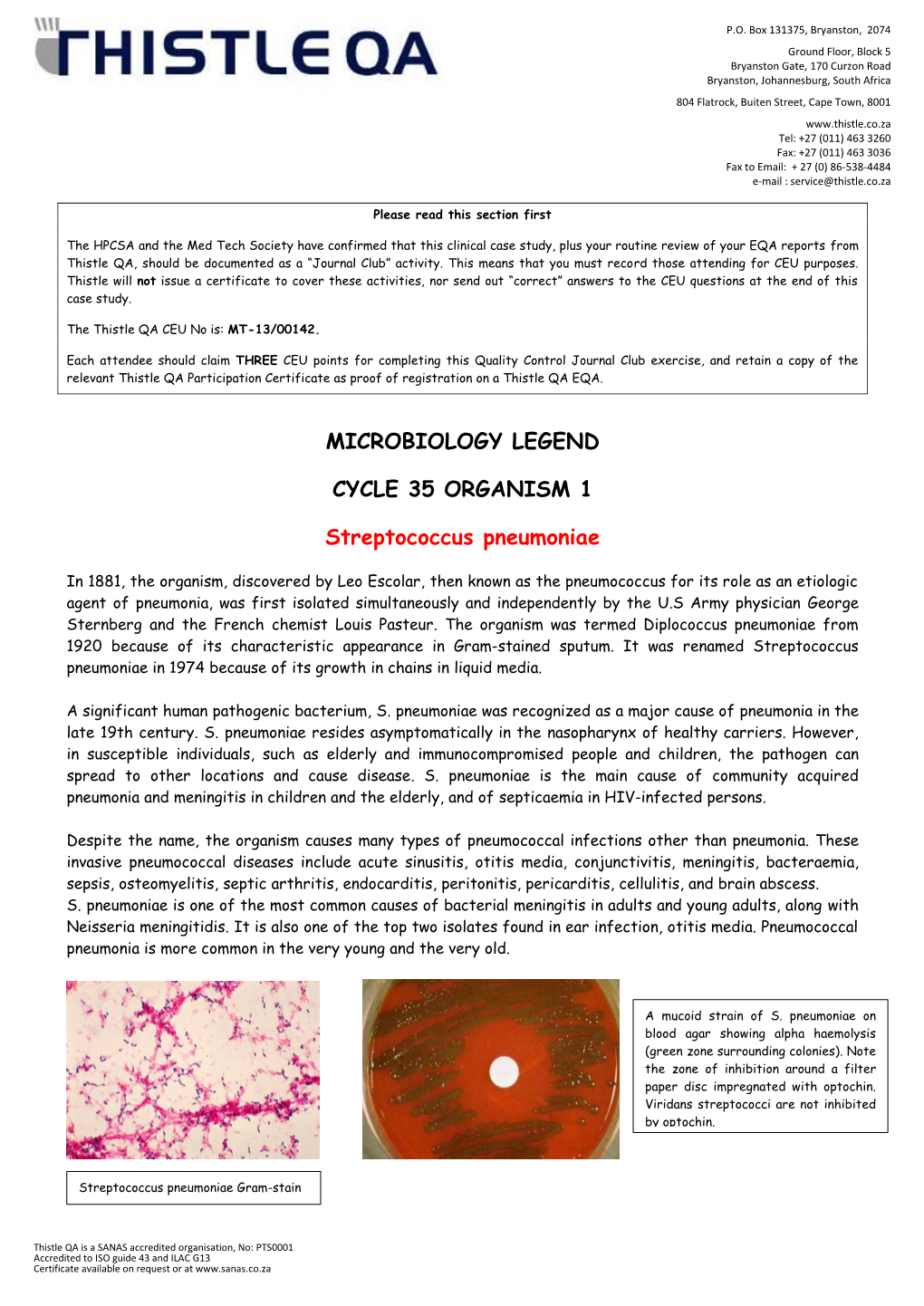 Cycle 35 Organism 1