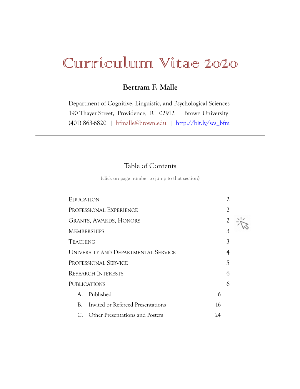 Curriculum Vitae 2020