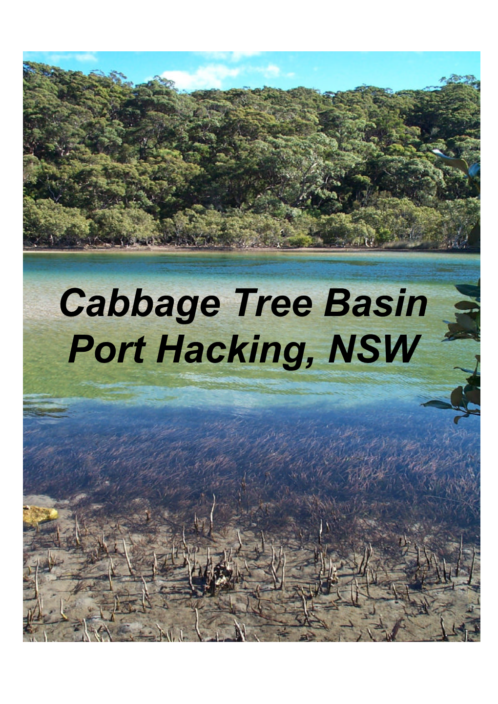 Cabbage Tree Basin Port Hacking, NSW