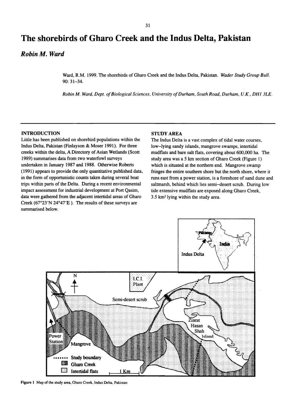 The Shorebirds of Gharo Creek and the Indus Delta, Pakistan