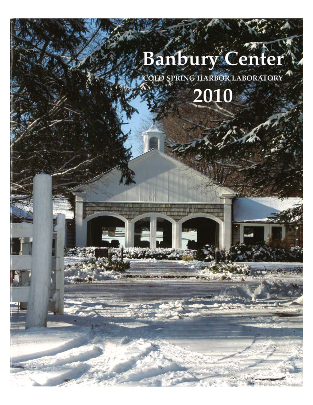 2010 Annual Report