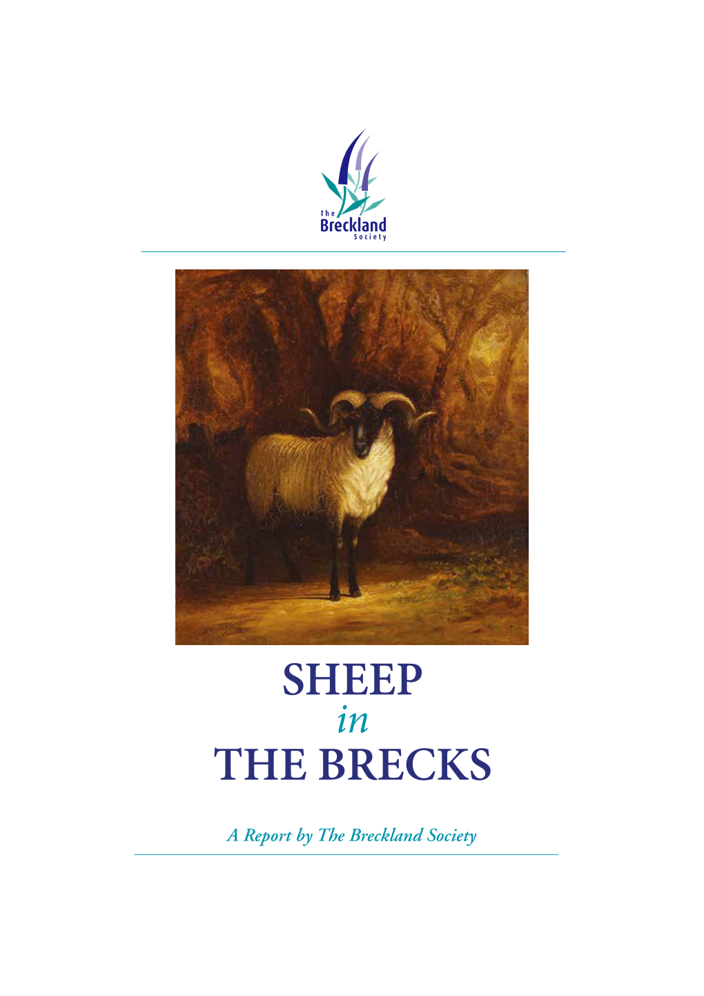 Sheep the Brecks