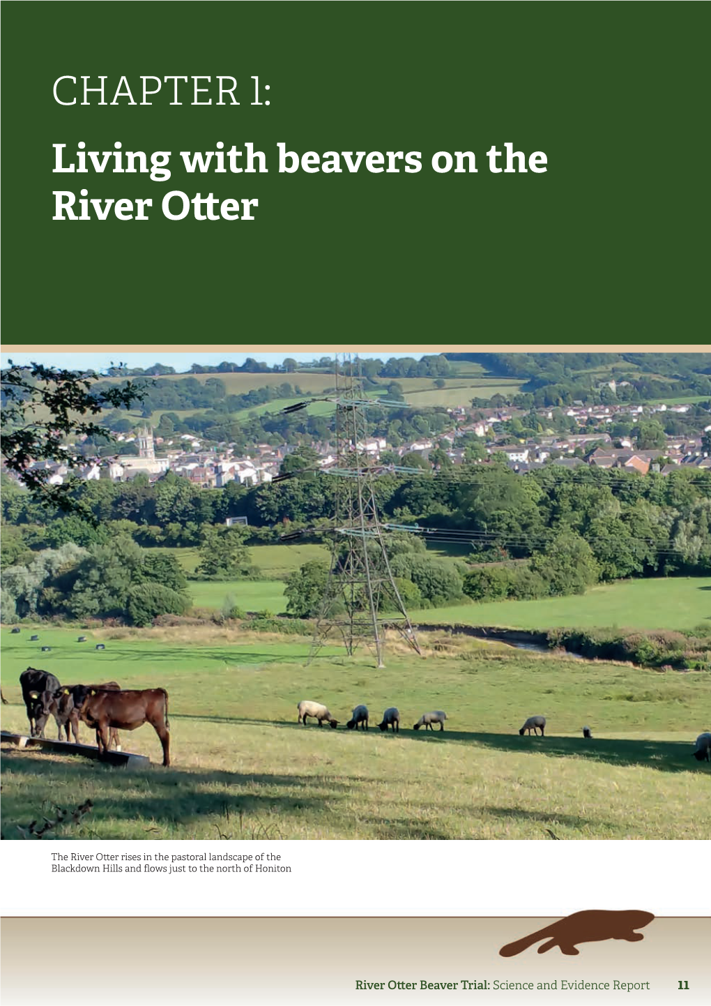 CHAPTER 1: Living with Beavers on the River Otter