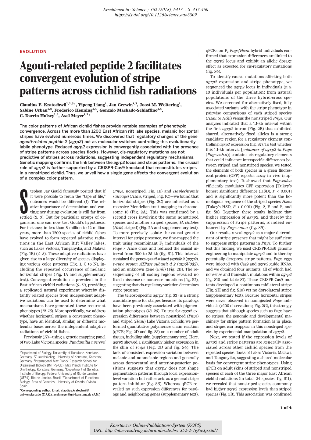 Agouti-Related Peptide 2 Facilitates Convergent Evolution of Stripe Patterns Across Cichlid Fish Radiations