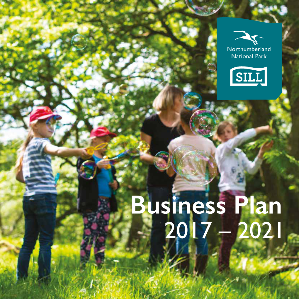 Business Plan 2017-2021