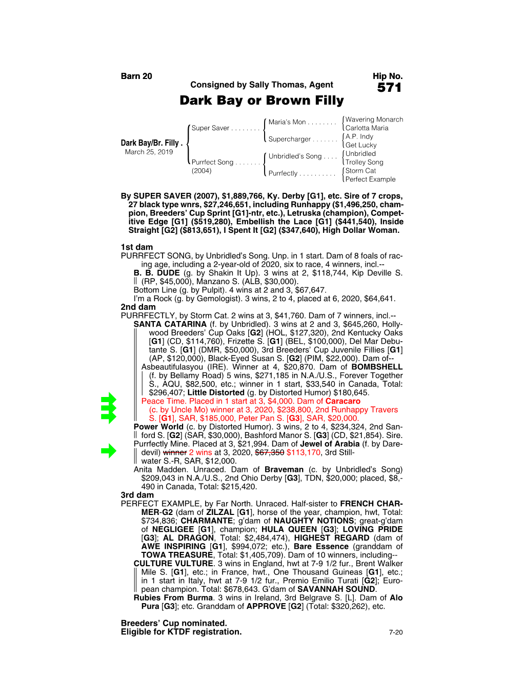 571 Dark Bay Or Brown Filly