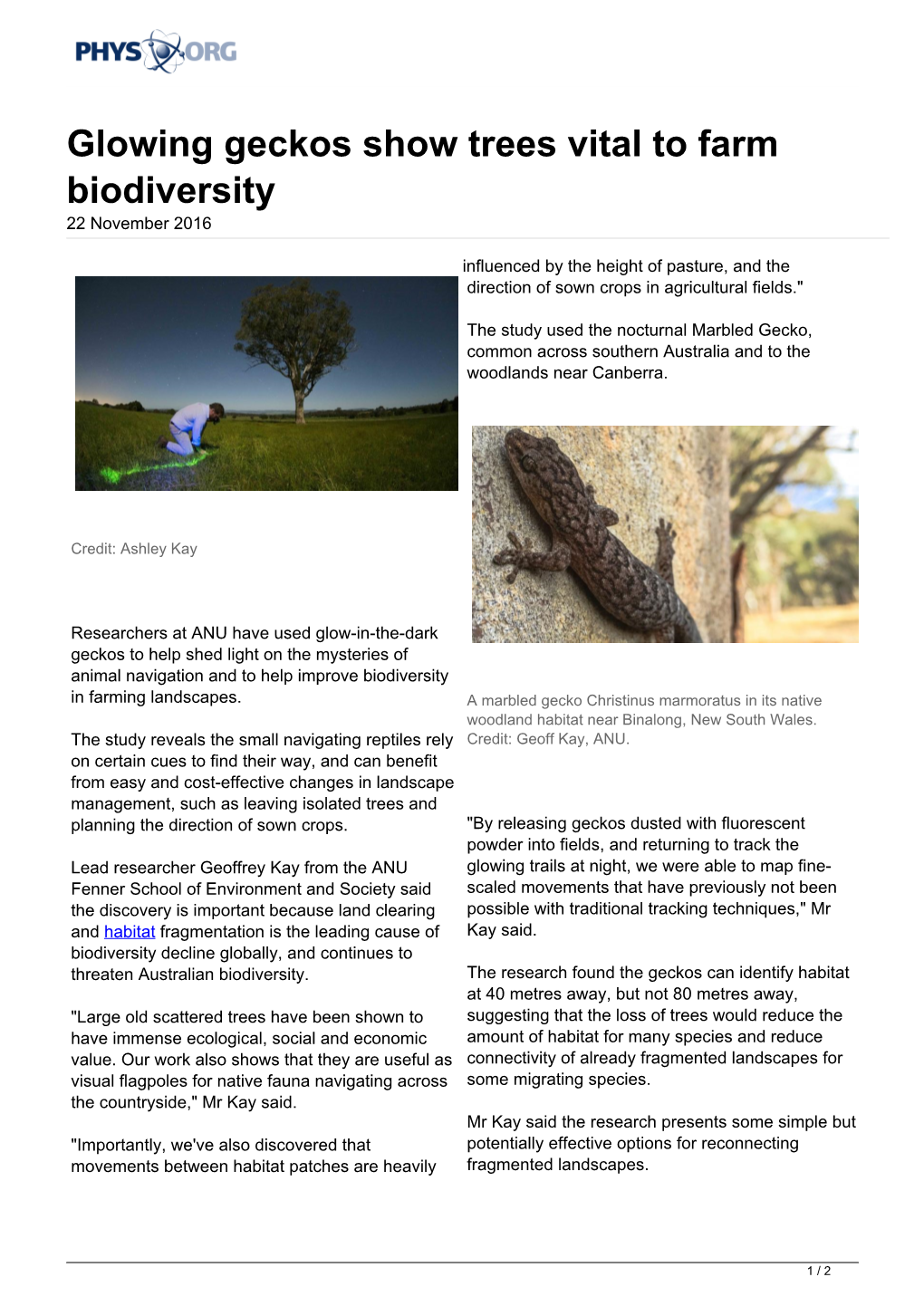 Glowing Geckos Show Trees Vital to Farm Biodiversity 22 November 2016