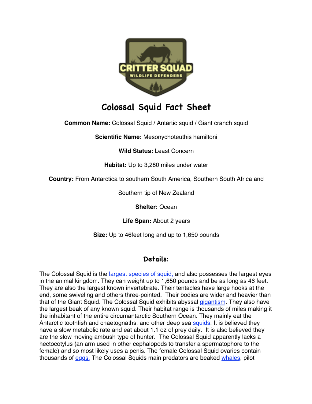 Colossal Squid Fact Sheet