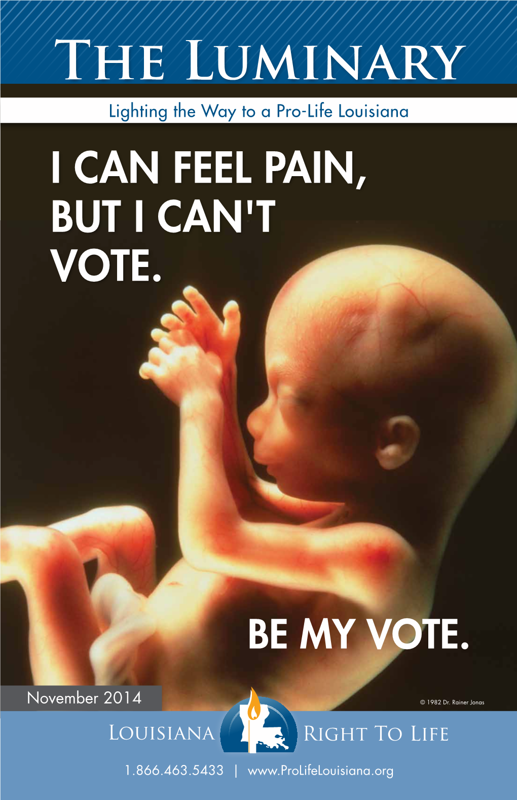 I Can Feel Pain, but I Can't Vote