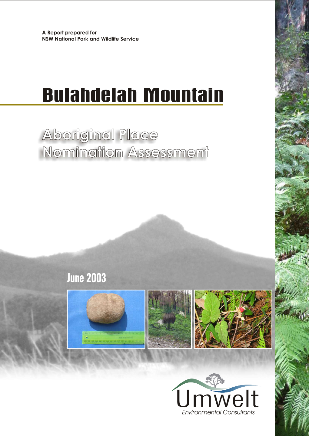 Bulahdelah Mountain