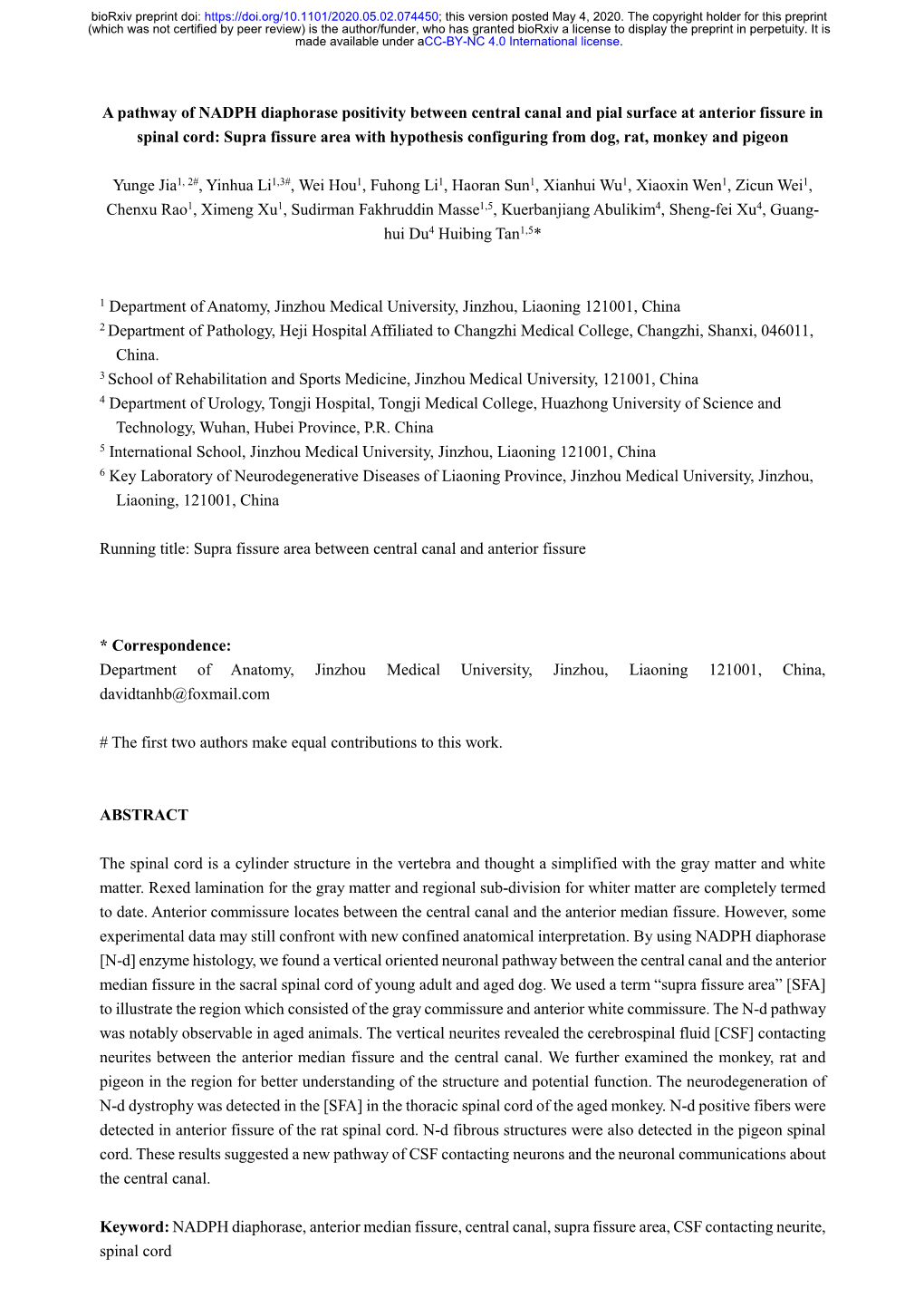 A Pathway of NADPH Diaphorase Positivity Between Central Canal And