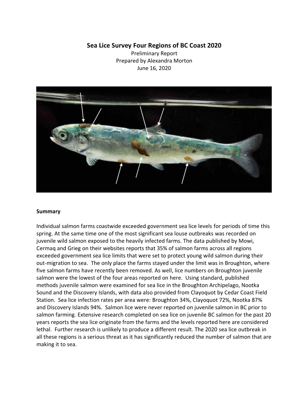 Sea Lice Survey Four Regions of BC Coast 2020 Preliminary Report Prepared by Alexandra Morton June 16, 2020