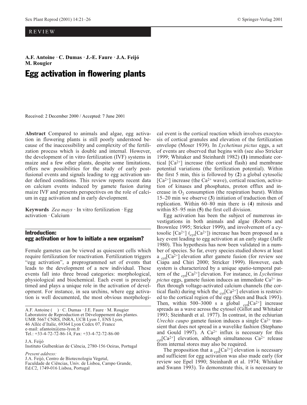 Egg Activation in Flowering Plants