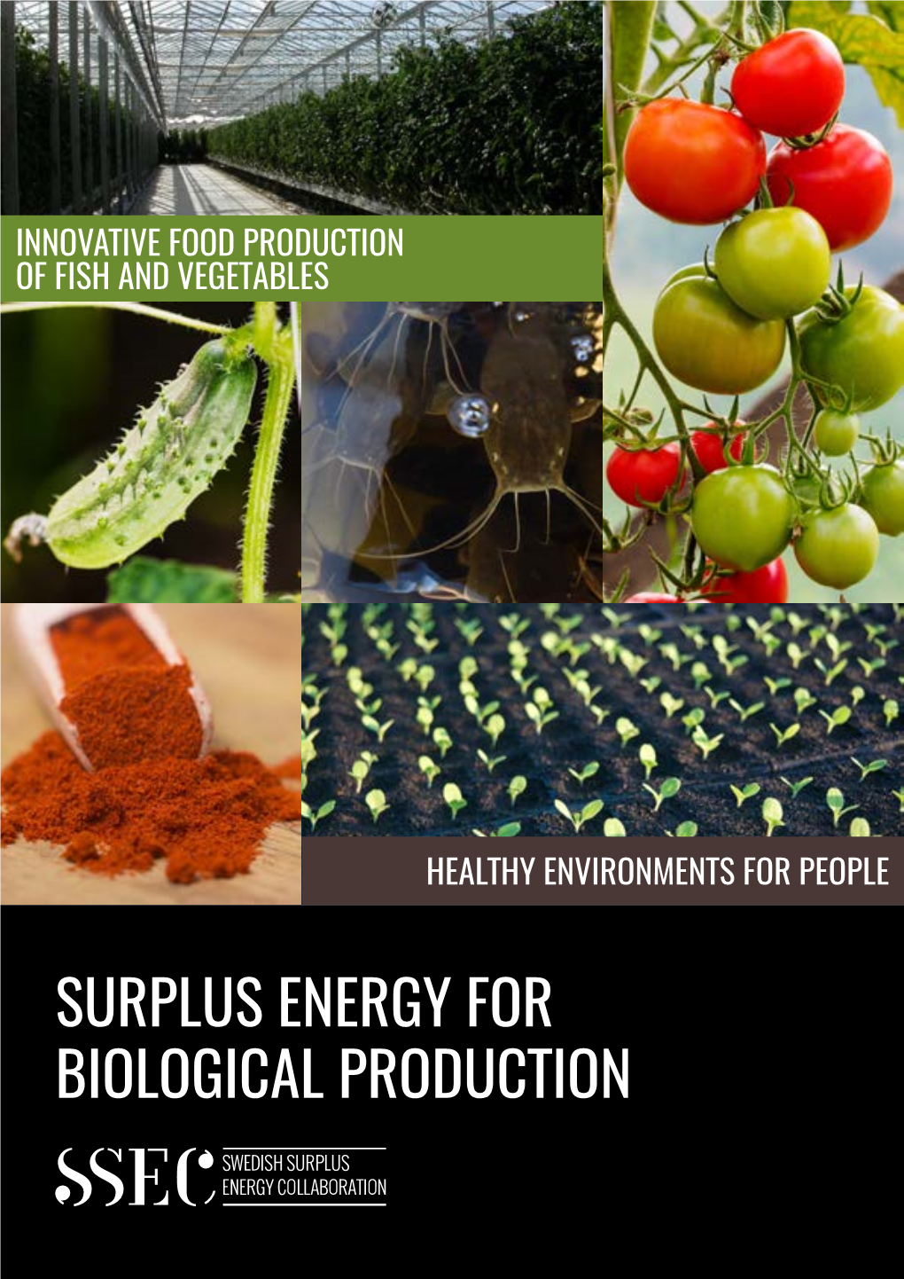 SURPLUS ENERGY for BIOLOGICAL PRODUCTION Program Leader of Urban Food