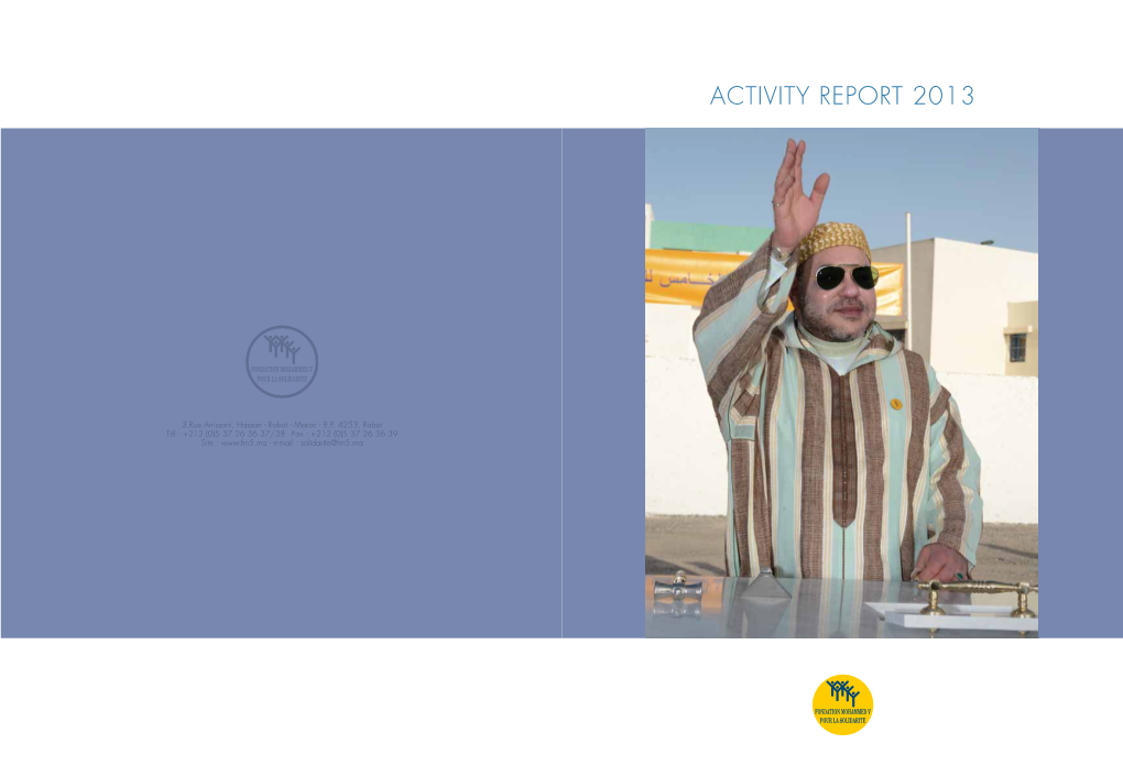 Activity Report 2013