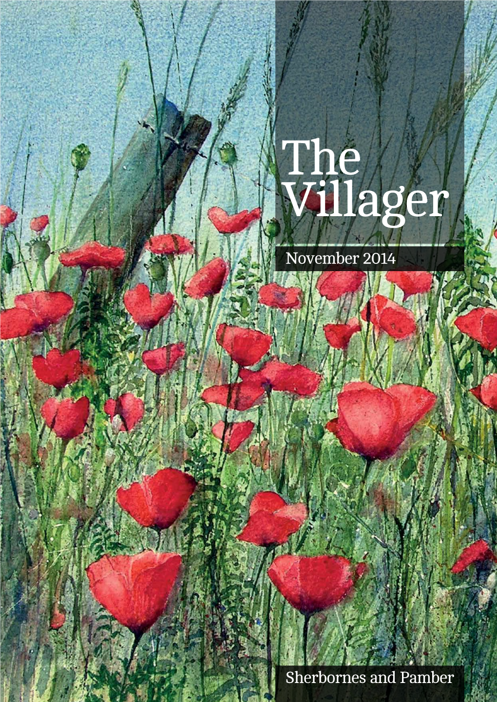 The Villager