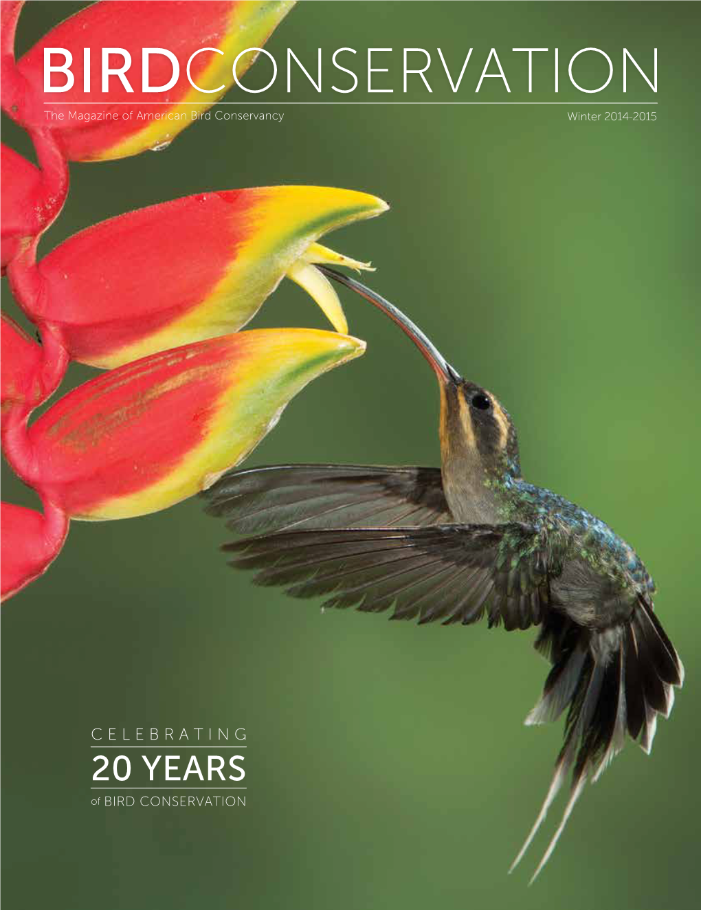 BIRDCONSERVATION the Magazine of American Bird Conservancy Winter 2014-2015