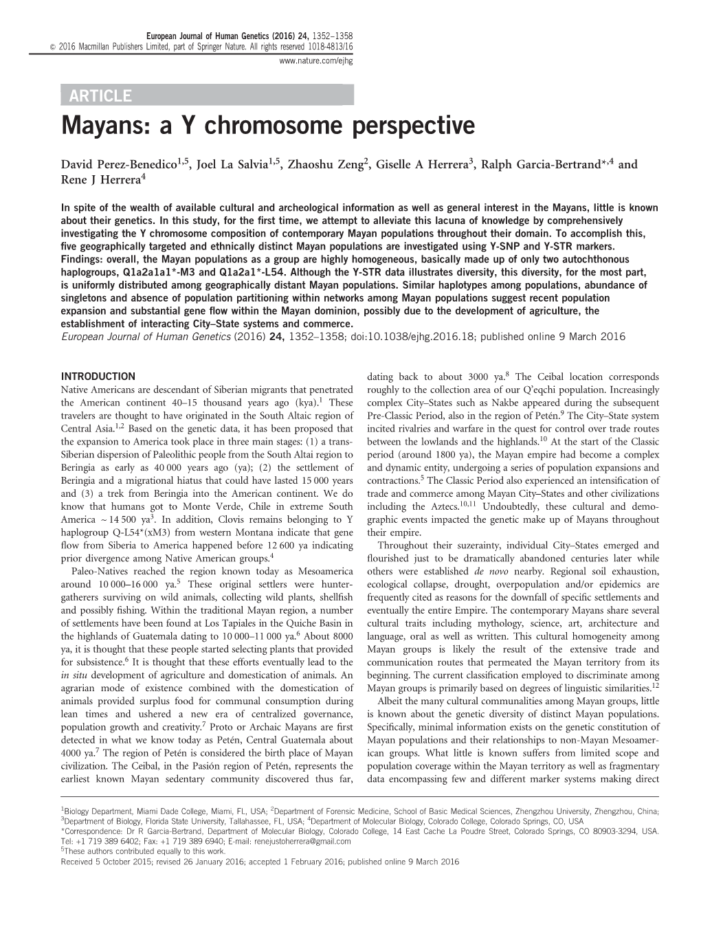 Mayans: a Y Chromosome Perspective