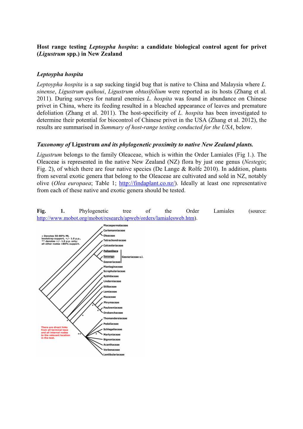 Host Range Testing Leptoypha Hospita: a Candidate Biological Control Agent for Privet (Ligustrum Spp.) in New Zealand