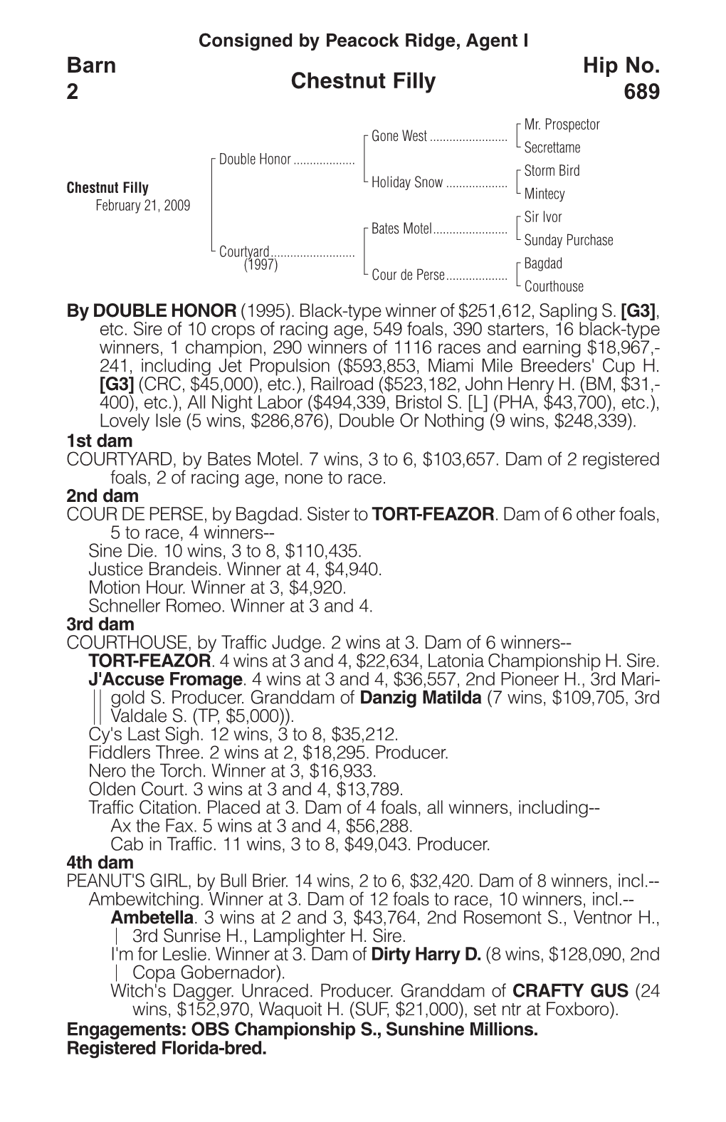 Chestnut Filly Barn 2 Hip No