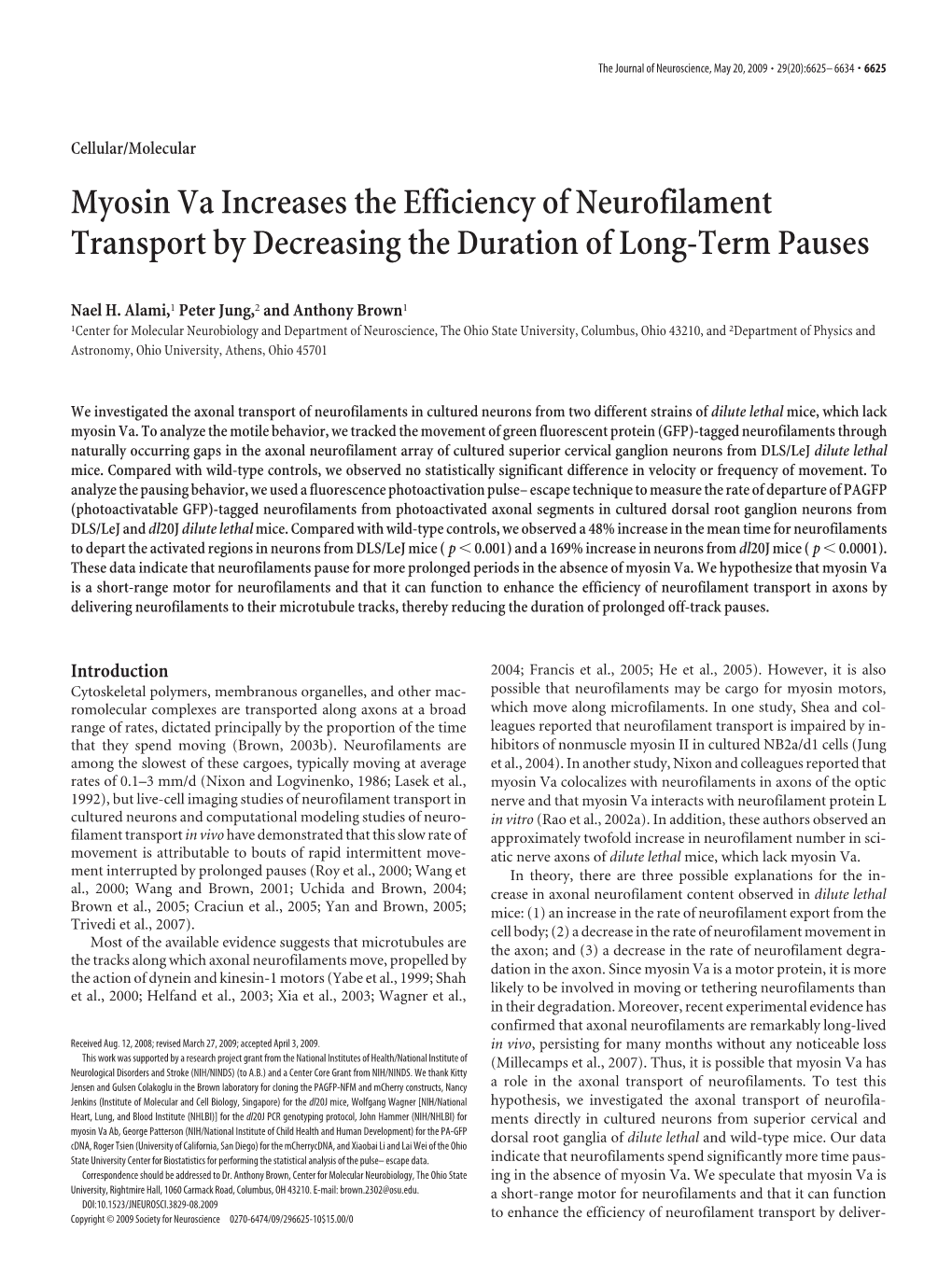 Myosin Va Increases the Efficiency of Neurofilament Transport by Decreasing the Duration of Long-Term Pauses