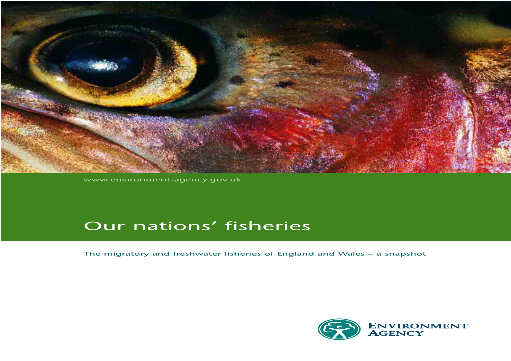 Our Nations' Fisheries