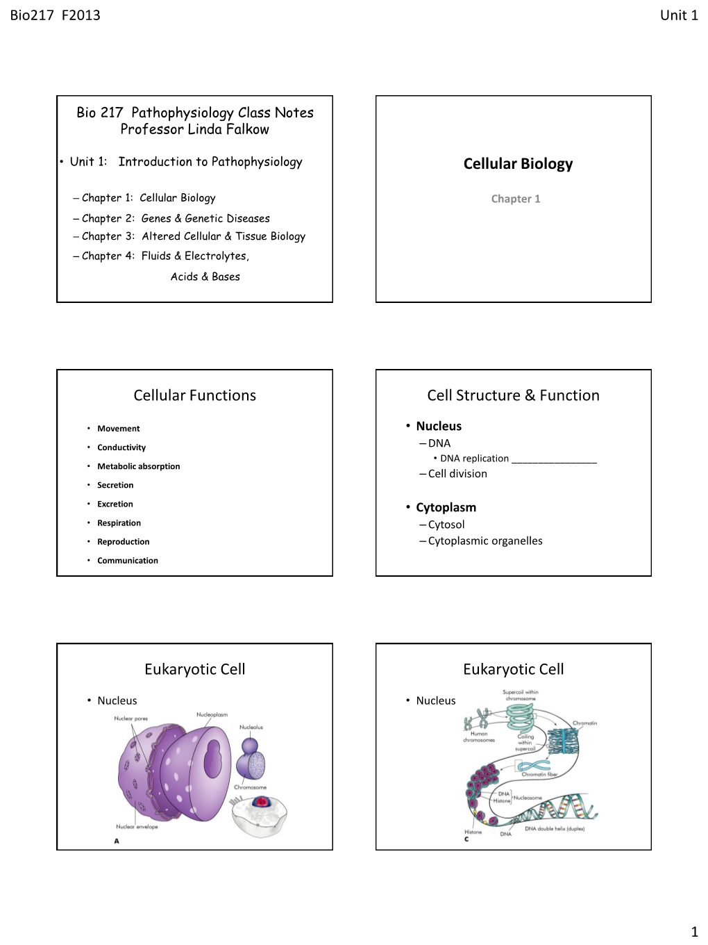 Bio 217 Pathophysiology Class Notes Professor Linda Falkow