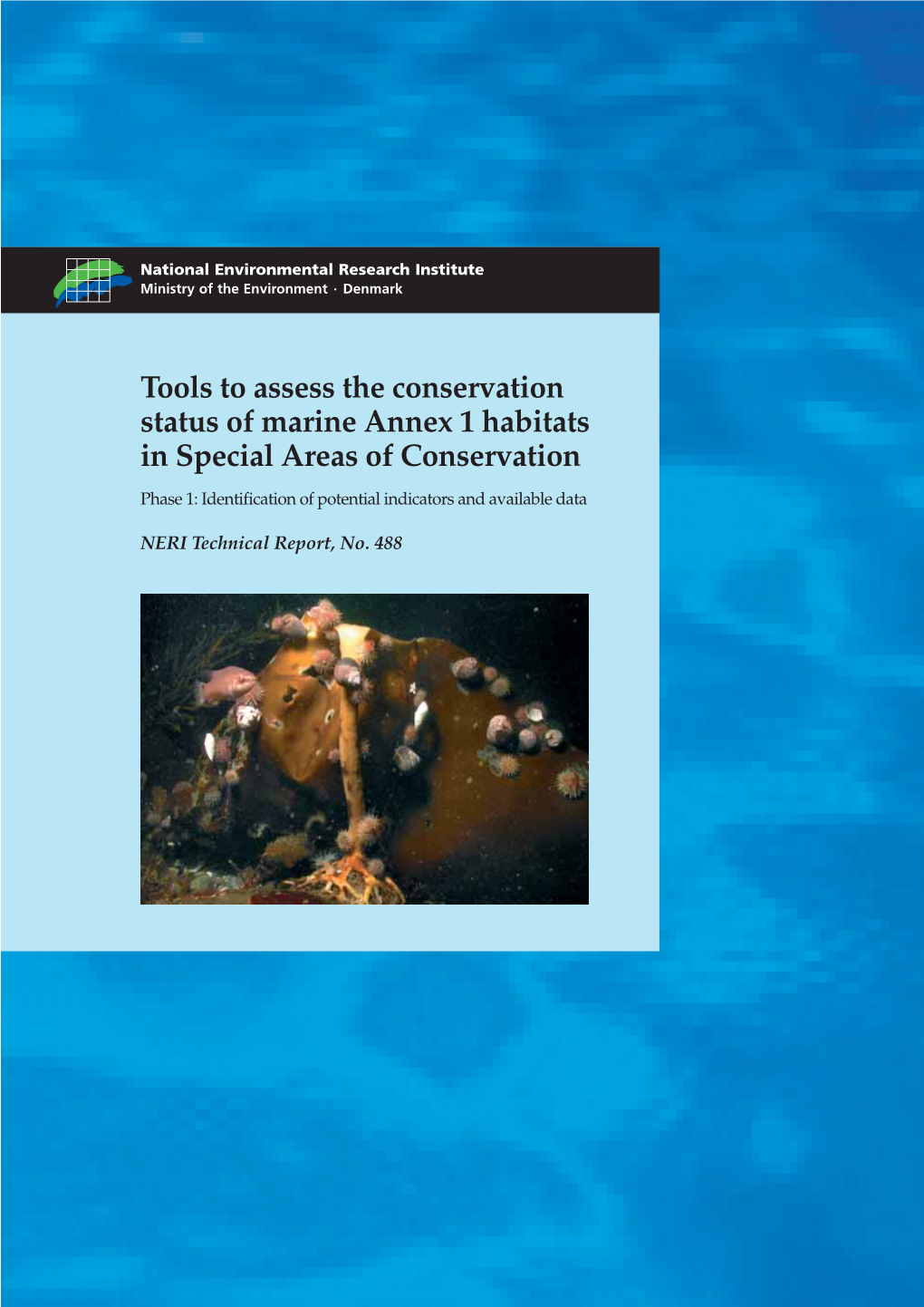Tools to Assess the Conservation Status of Marine Annex 1 Habitats In