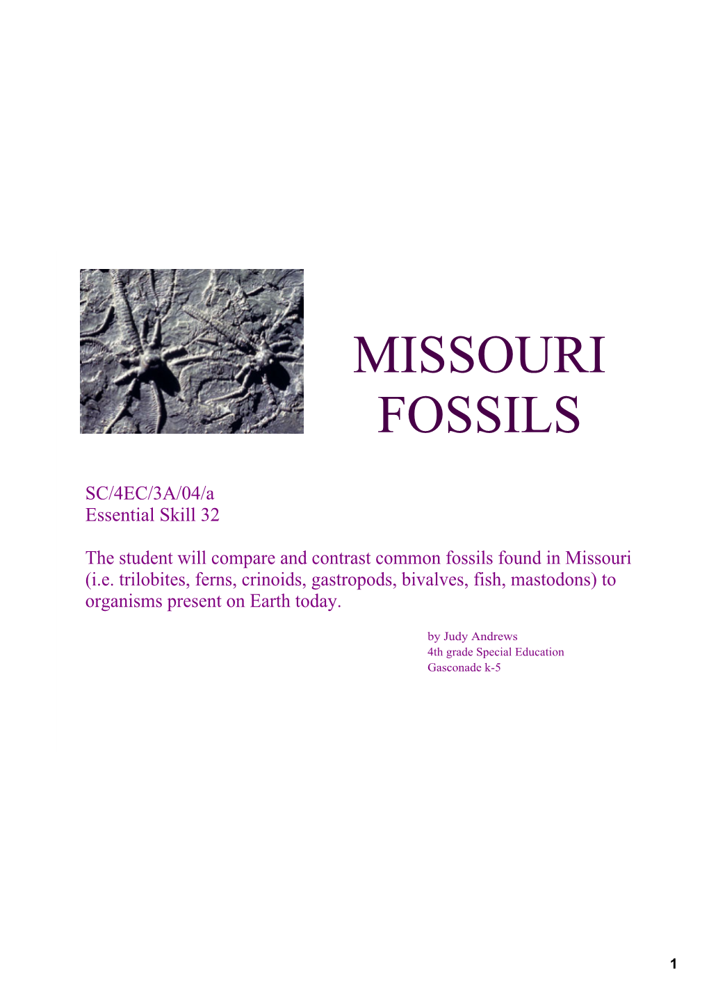 Missouri Fossils