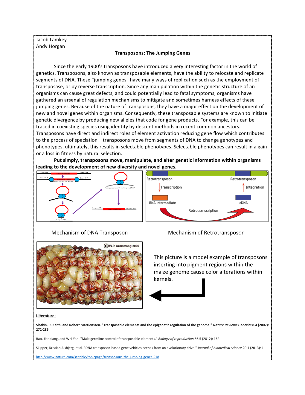 Transposon Summary Bio