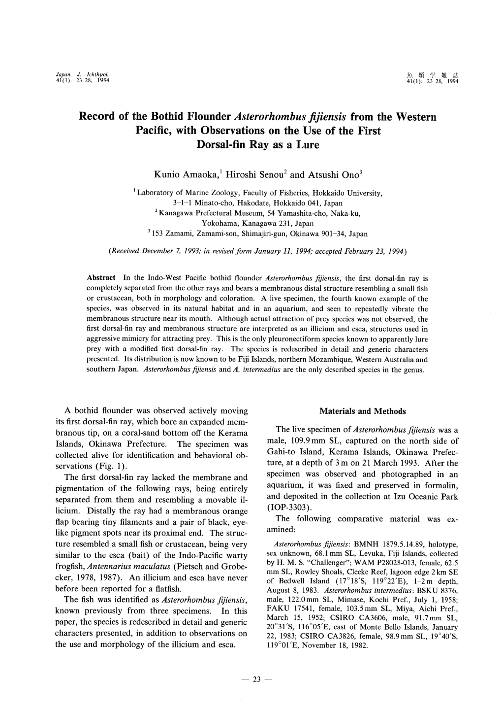 Record of the Bothid Flounder Asterorhombus Fijiensis from the Western Pacific, with Observations on the Use of the First Dorsal-Fin Ray As a Lure