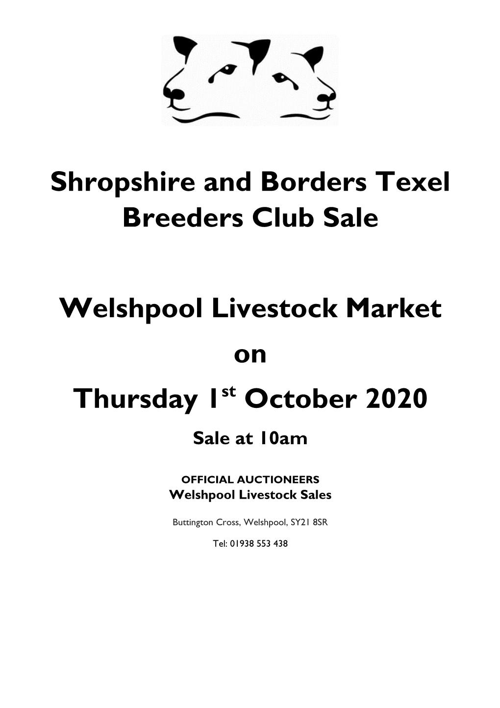Shropshire and Borders Texel Breeders Club Sale Welshpool