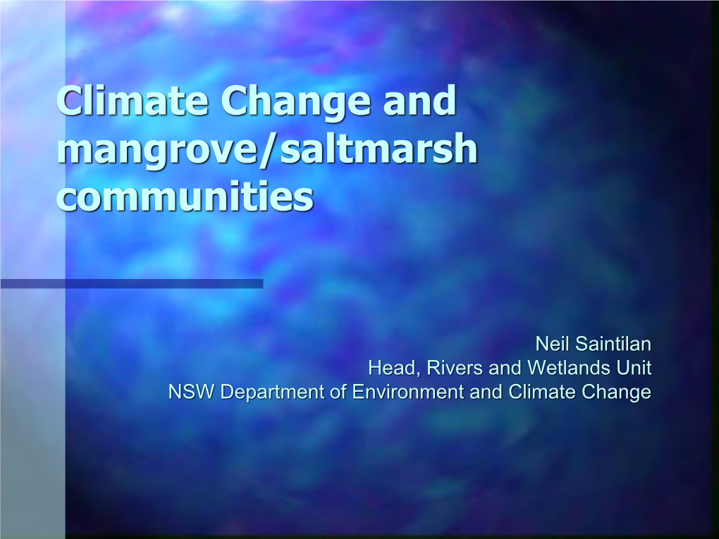 Neil Saintilan Head, Rivers and Wetlands Unit NSW Department of Environment and Climate Change