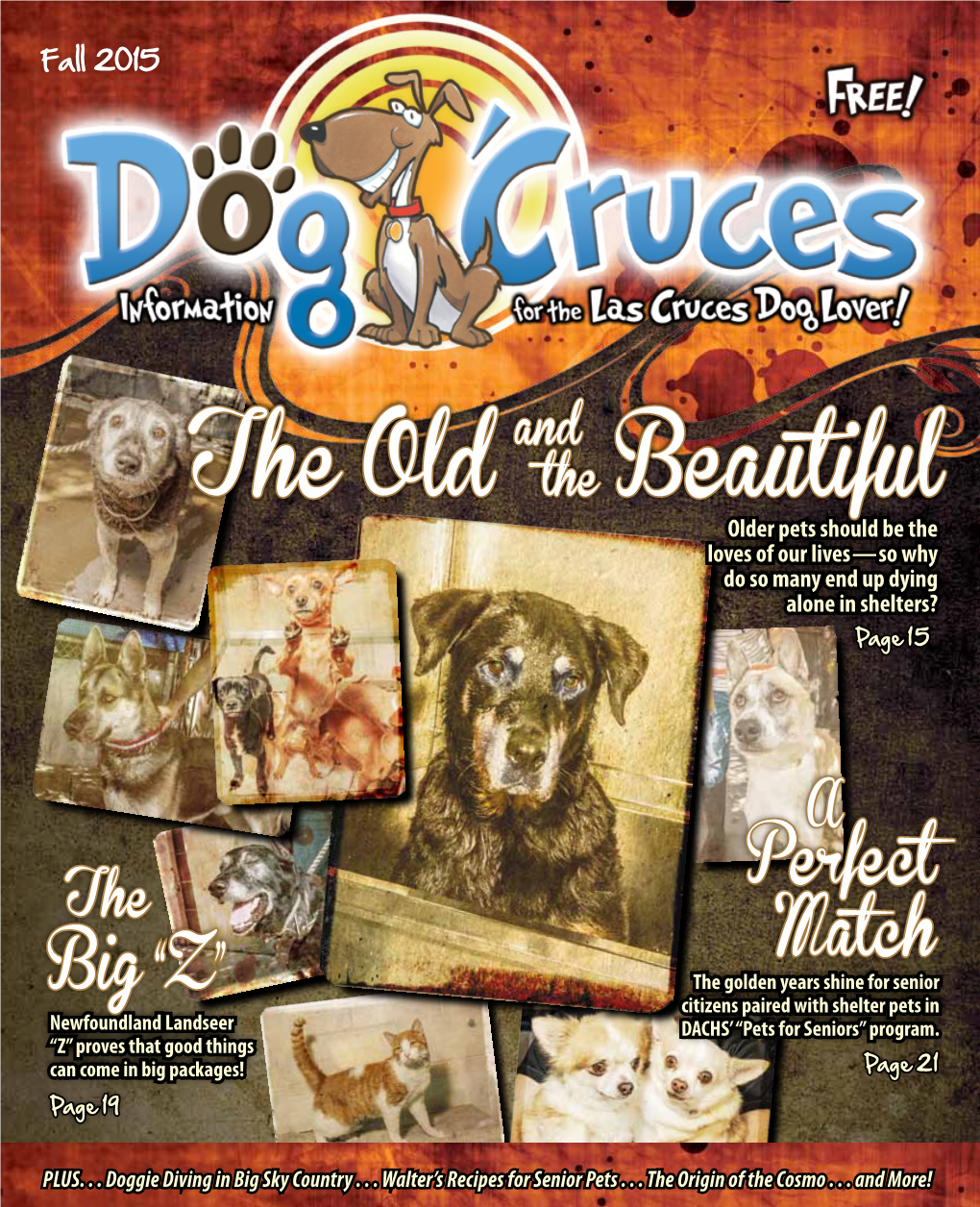 The Old Beautifulloves of Our Lives—So Why Do So Many End up Dying Alone in Shelters? Page 15