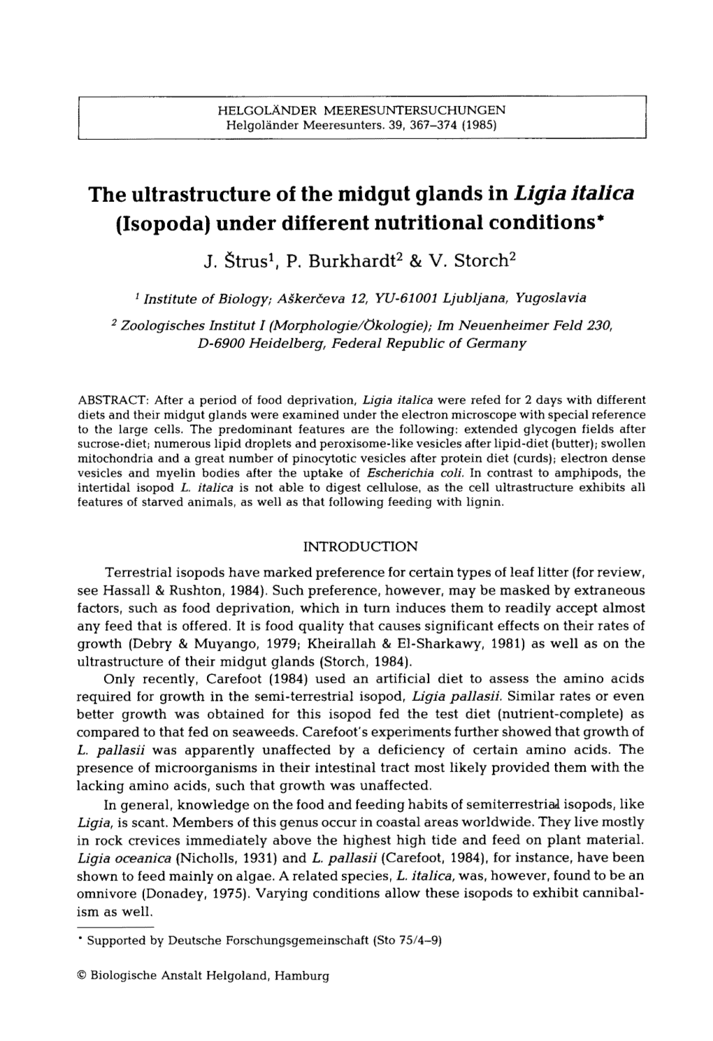 The Ultrastructure of the Midgut Glands in Ligia Italica (Isopoda) Under Different Nutritional Conditions*