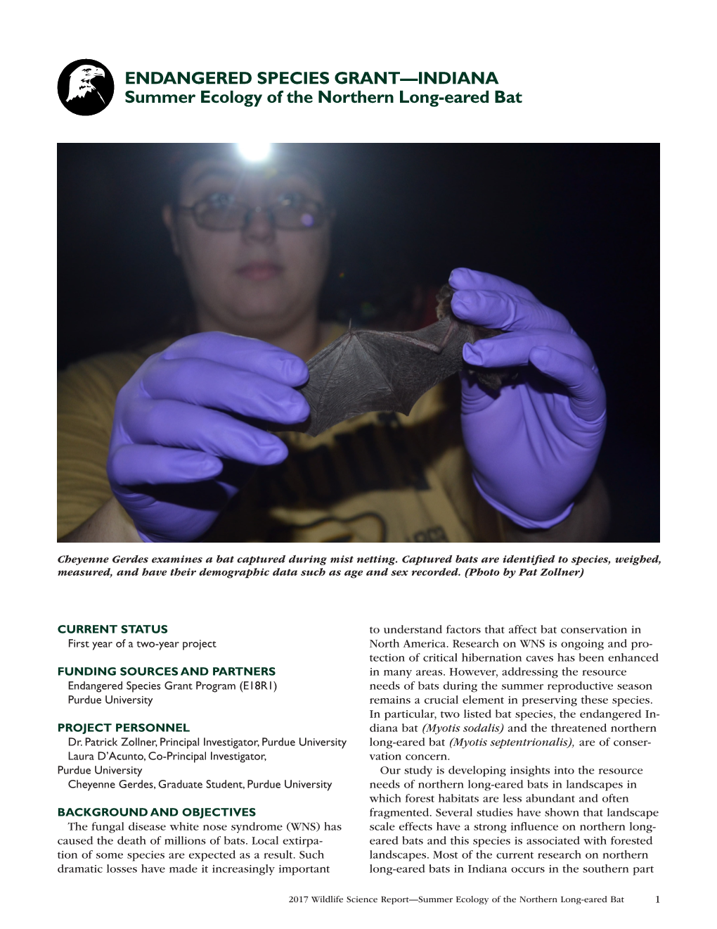 Summer Ecology of the Northern Long-Eared Bat