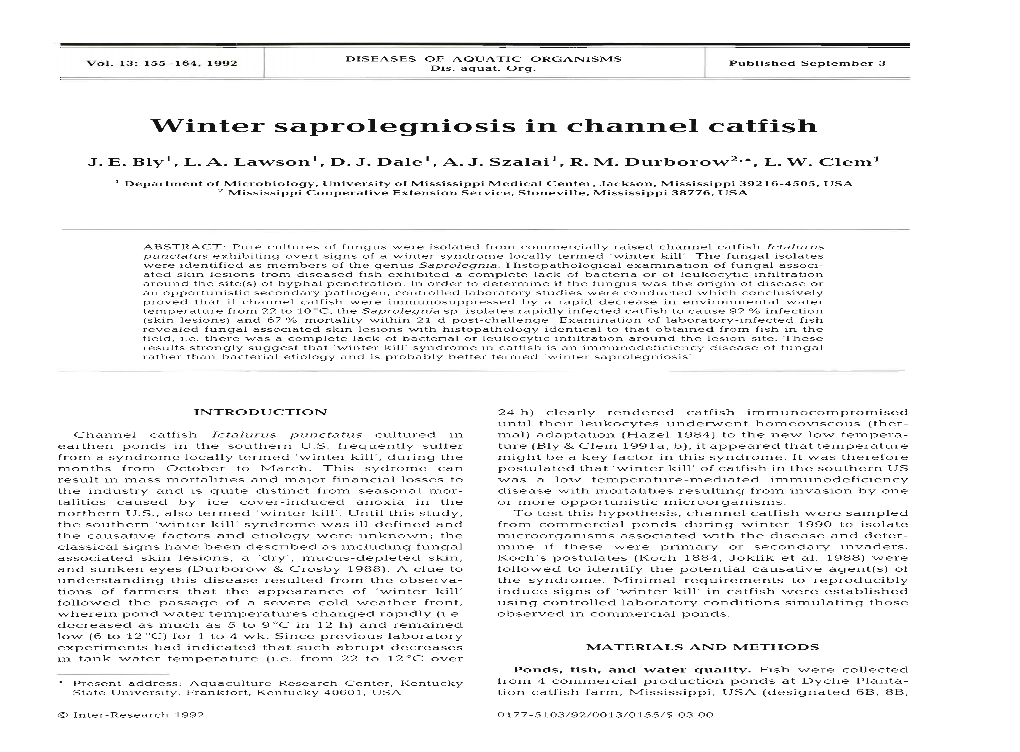 Winter Saprolegniosis in Channel Catfish