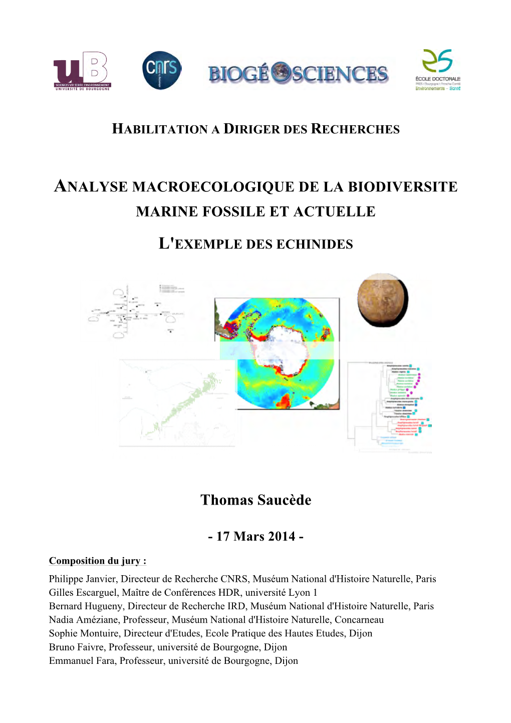 Comparative Biogeography of Echinoids, Bivalves, and Gastropods from the Southern Ocean