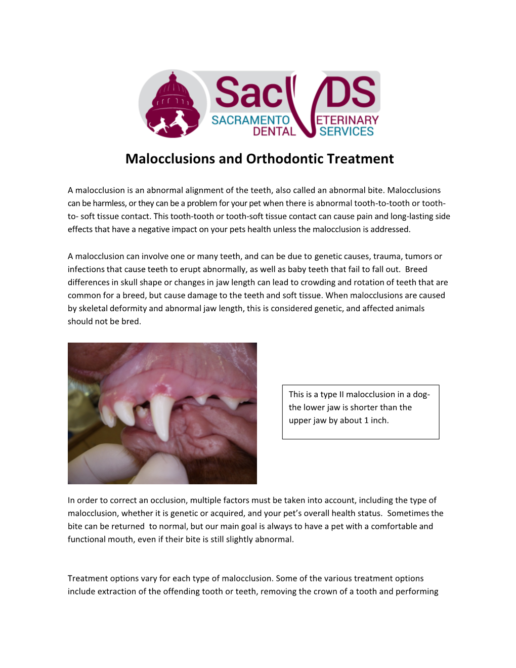 Malocclusions and Orthodontic Treatment