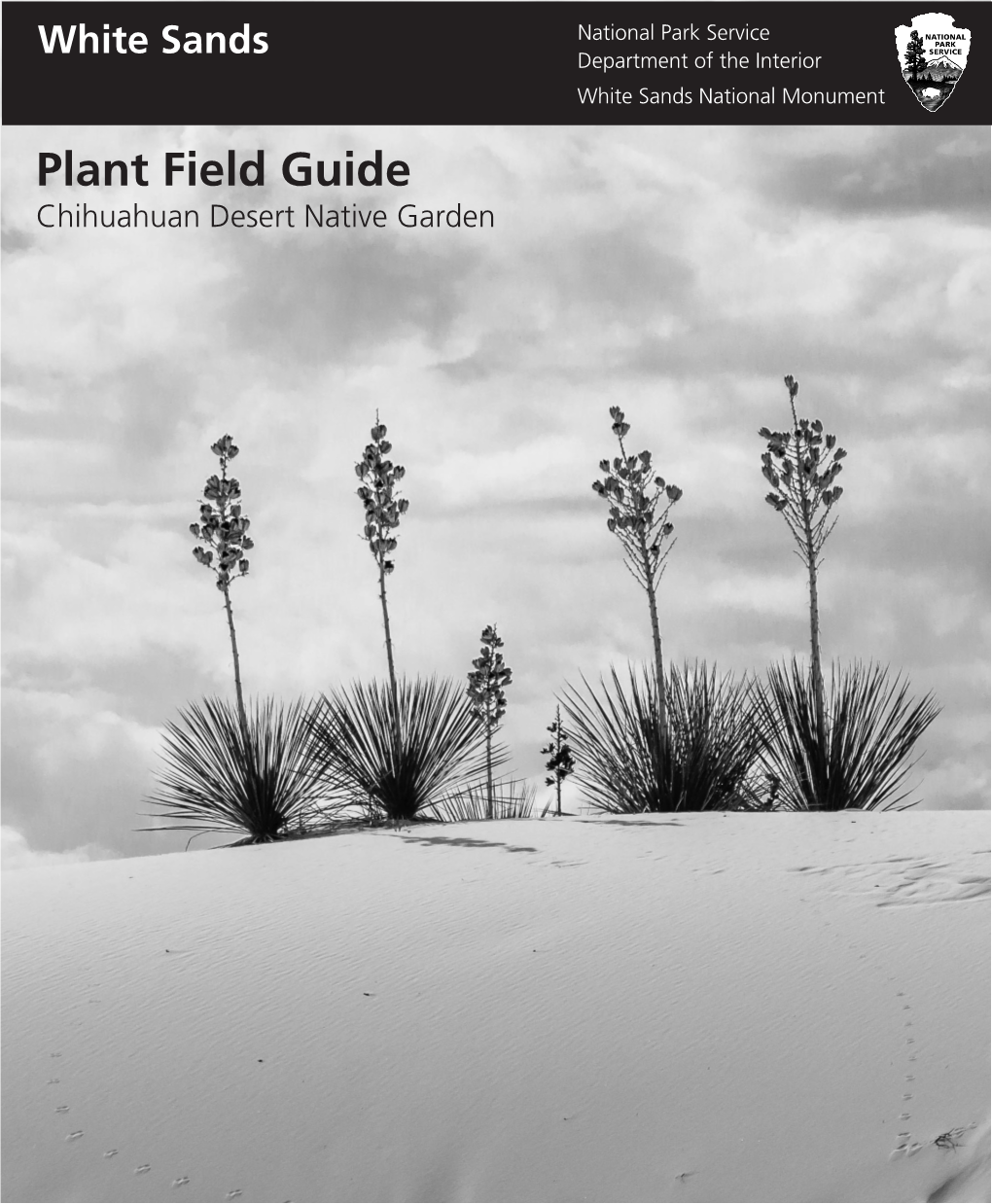 Plant Field Guide Chihuahuan Desert Native Garden