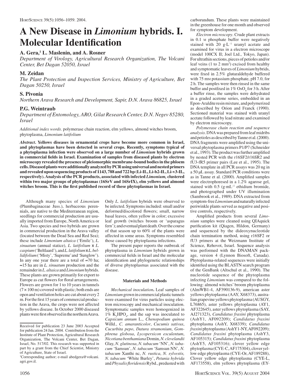 A New Disease in Limonium Hybrids. I. Molecular Identification