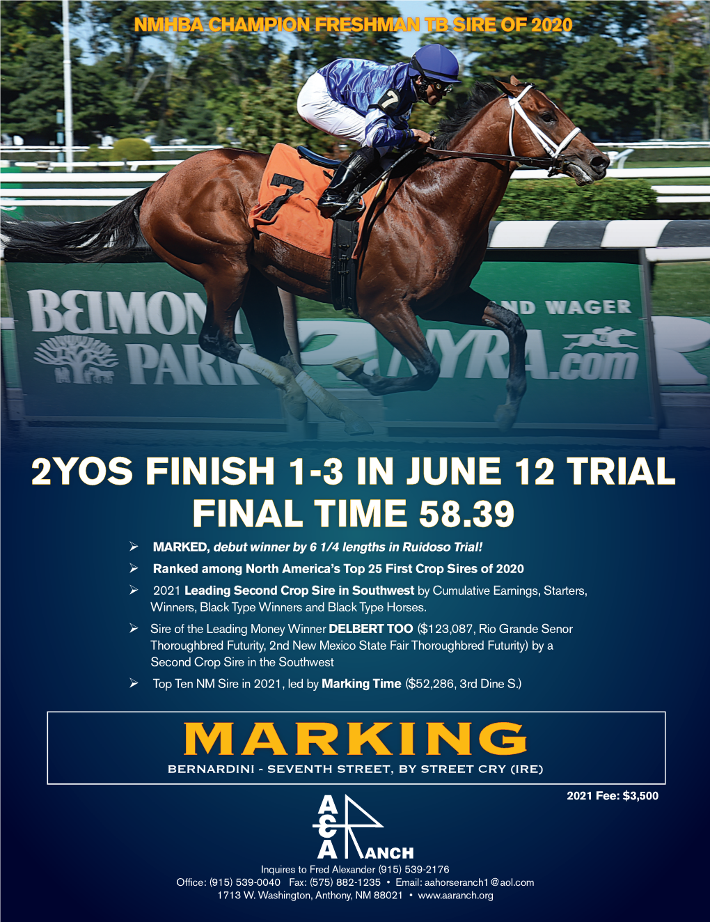 Marking Time ($52,286, 3Rd Dine S.) MARKING BERNARDINI - SEVENTH STREET, by STREET CRY (IRE)